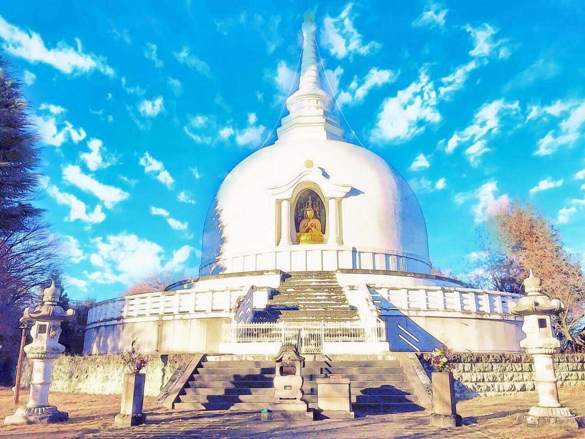 🌳 나가오카 공원(나가오카 코엔) 이미지 6